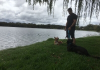 walk1